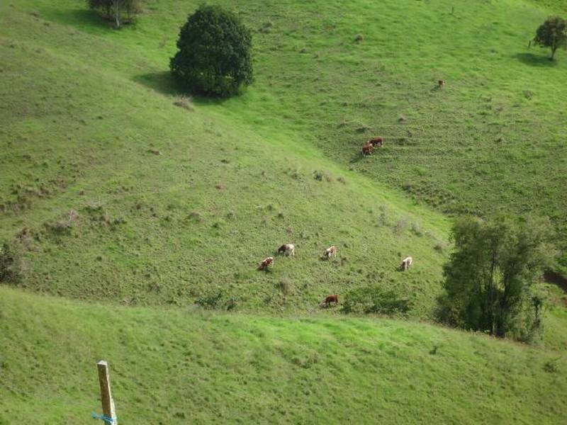 261 Waukivory, Gloucester NSW 2422