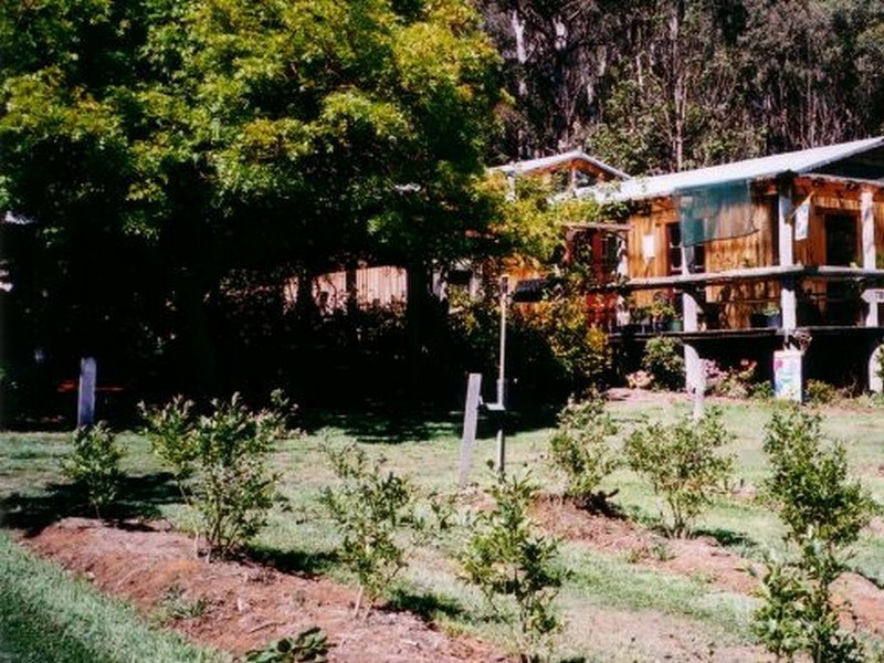 Lot 80 Nowendoc Road, Niangala NSW 2354