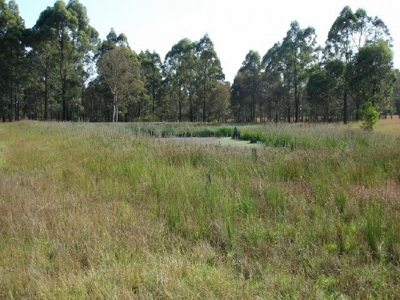 Lot 36 Wood Street, Stratford NSW 2422