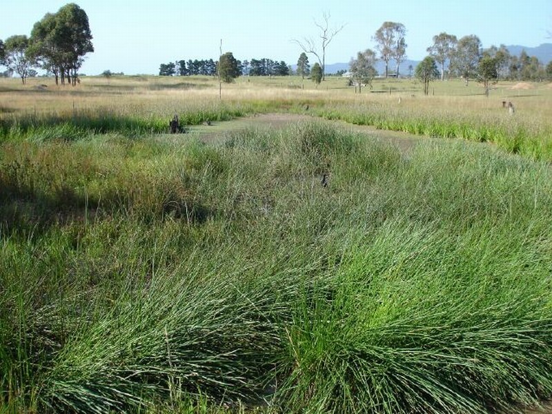 Lot 36 Wood Street, Stratford NSW 2422