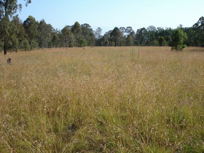 Lot 36 Wood Street, Stratford NSW 2422