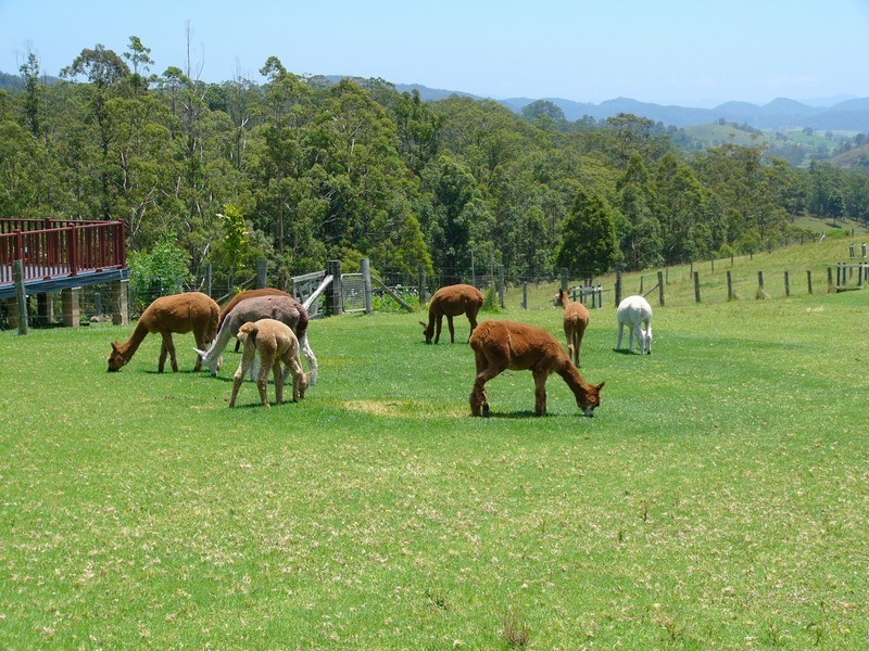 2549 Waukivory Road, Gloucester NSW 2422