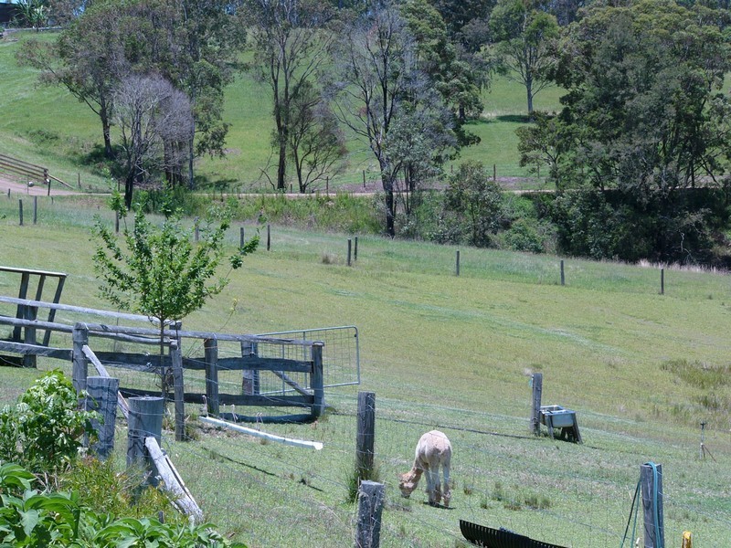 2549 Waukivory Road, Gloucester NSW 2422