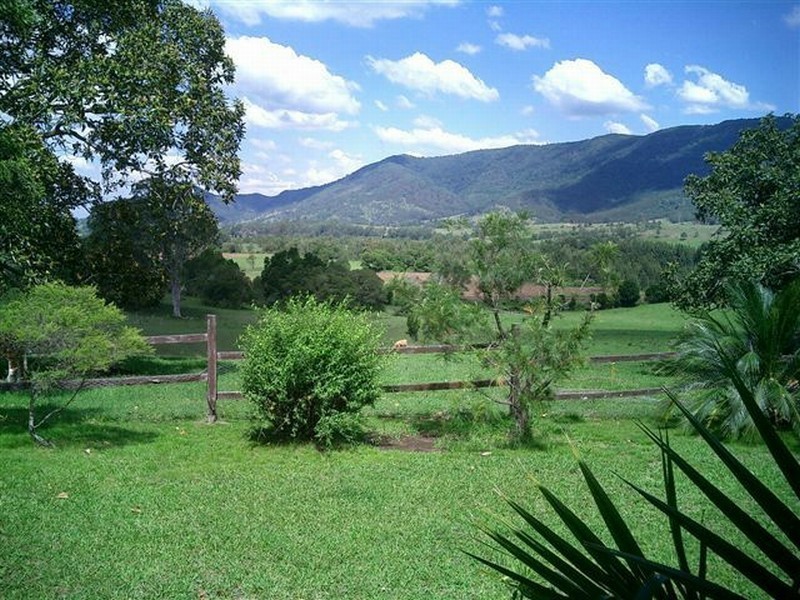 1577 Nowendoc Road, Mount George NSW 2424