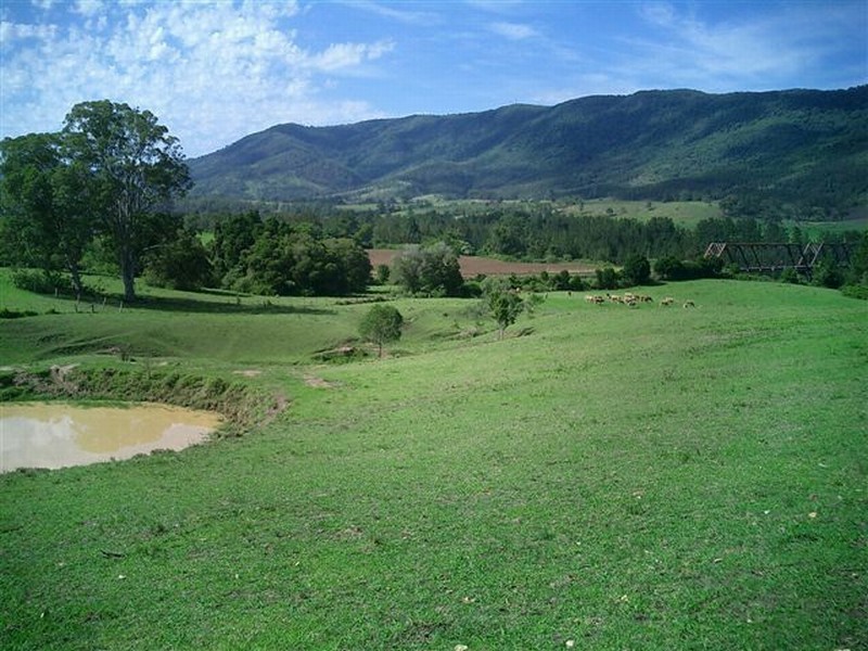 1577 Nowendoc Road, Mount George NSW 2424