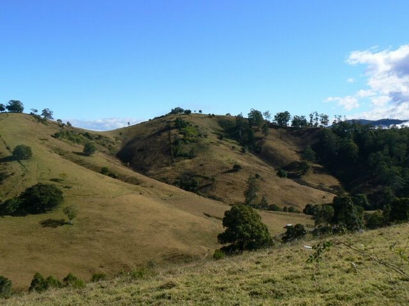 Lot 3 Dees Road, Belbora NSW 2422