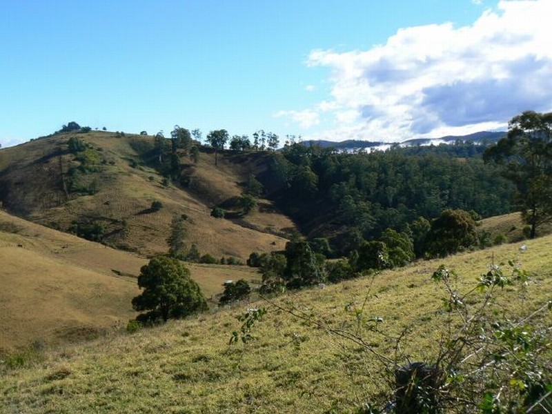 Lot 3 Dees Road, Belbora NSW 2422