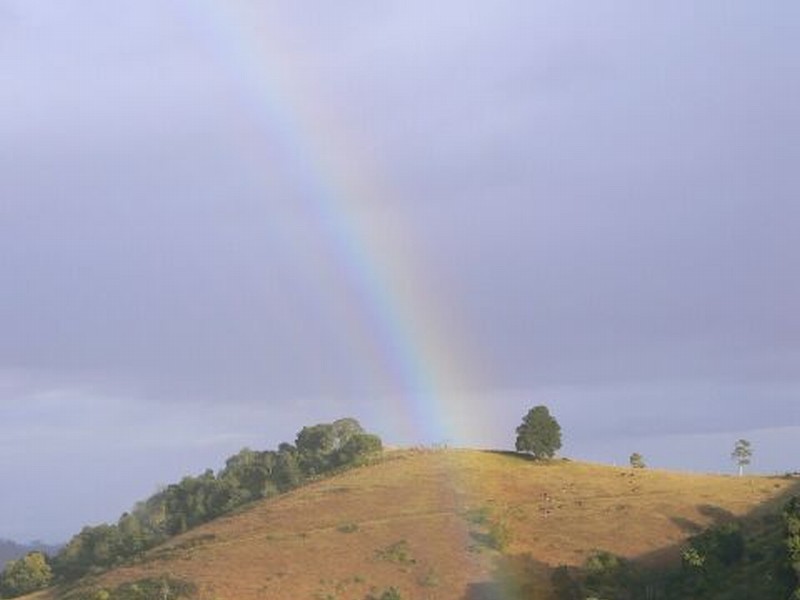 Lot 3 Dees Road, Belbora NSW 2422