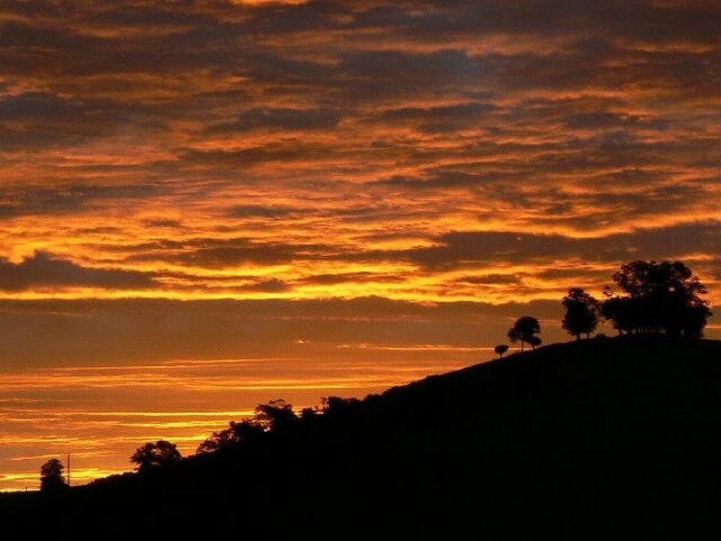 Lot 3 Dees Road, Belbora NSW 2422