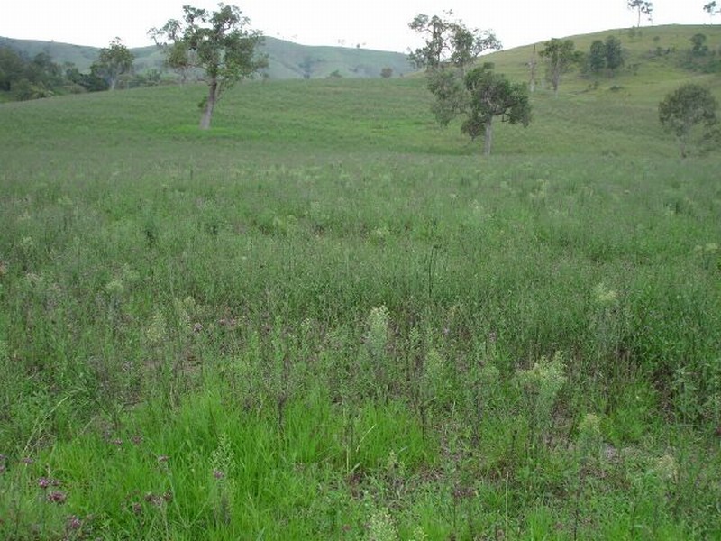 137 Wallanbah Road, Gloucester NSW 2422