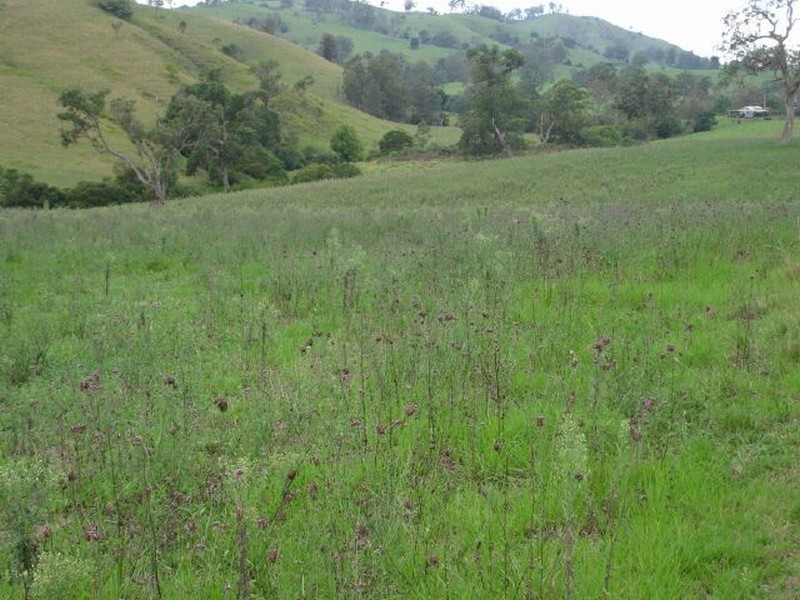 137 Wallanbah Road, Gloucester NSW 2422