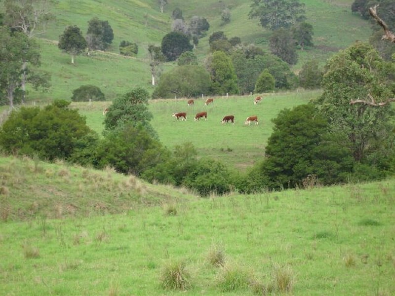 137 Wallanbah Road, Gloucester NSW 2422