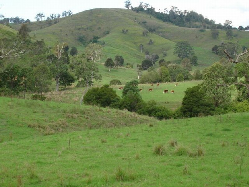 137 Wallanbah Road, Gloucester NSW 2422