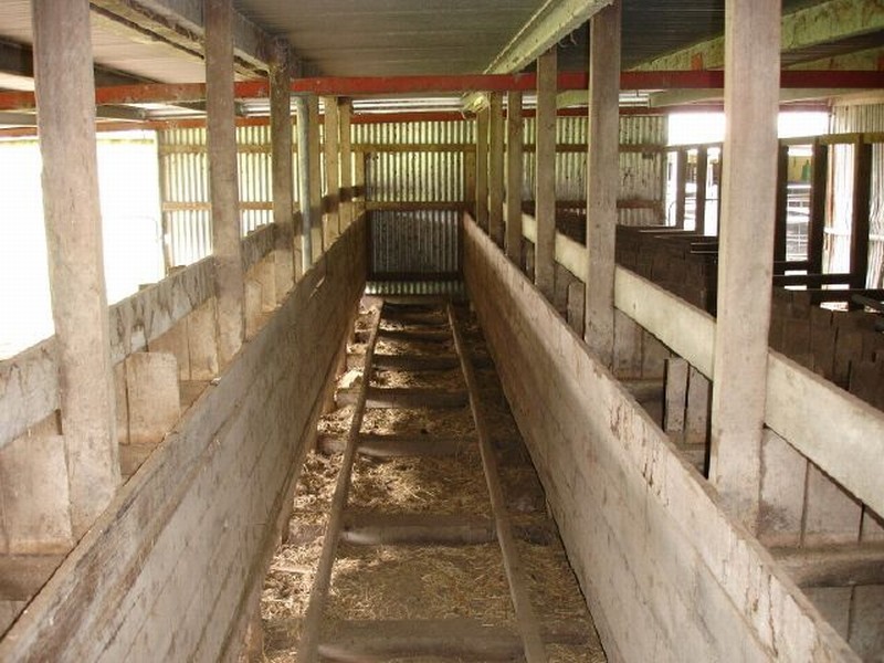 341 Waukivory Road, Gloucester NSW 2422