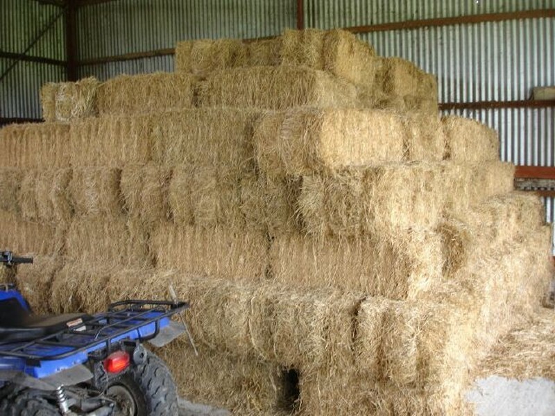 341 Waukivory Road, Gloucester NSW 2422