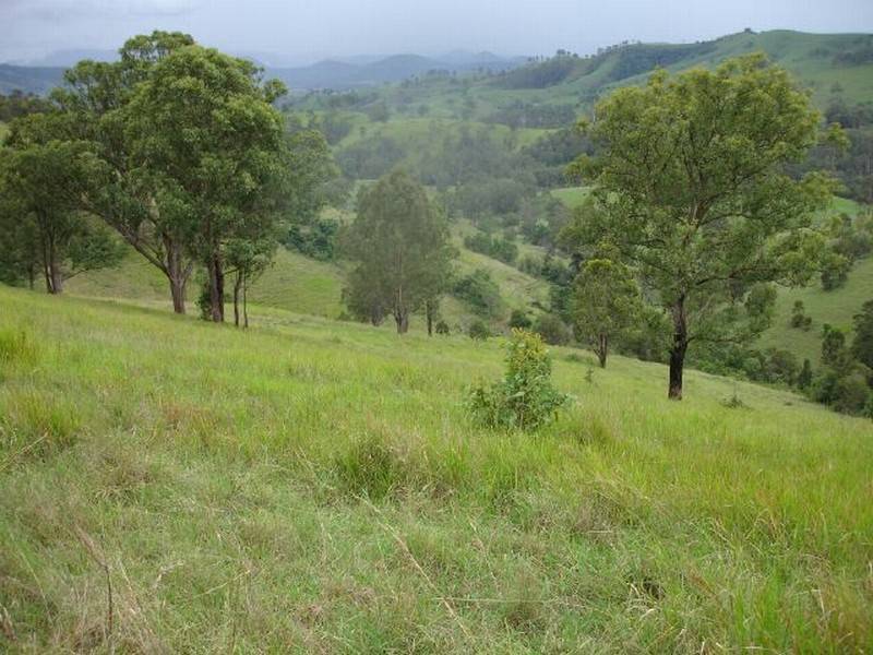 0 Bundook Road, Gloucester NSW 2422