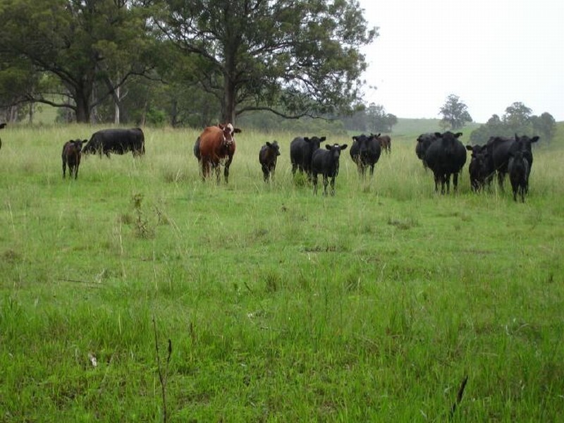 0 Bundook Road, Gloucester NSW 2422