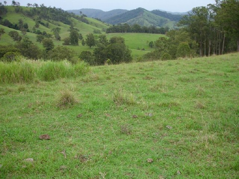 0 Bundook Road, Gloucester NSW 2422