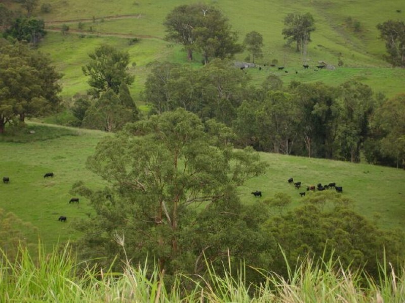 0 Bundook Road, Gloucester NSW 2422