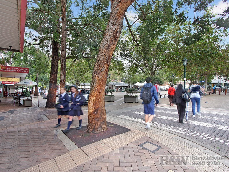 60 ALBERT ROAD, Strathfield NSW 2135