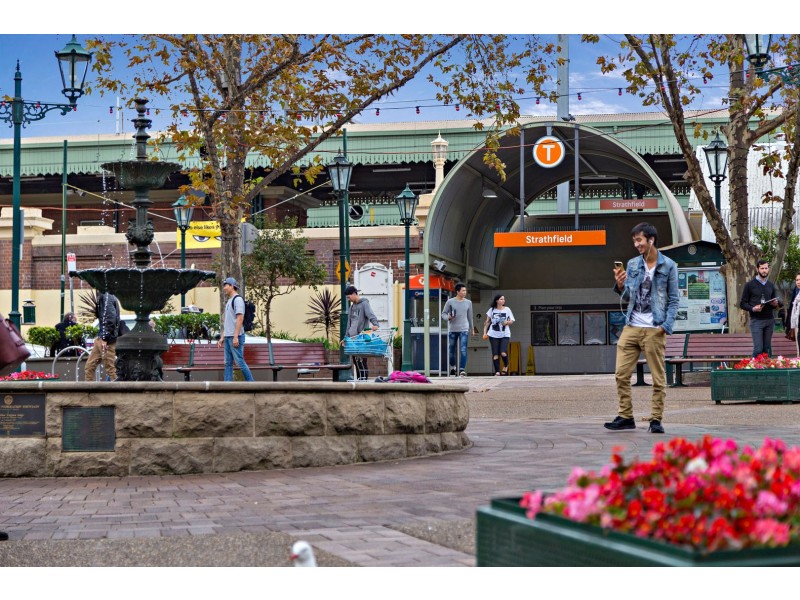 60 ALBERT ROAD, Strathfield NSW 2135