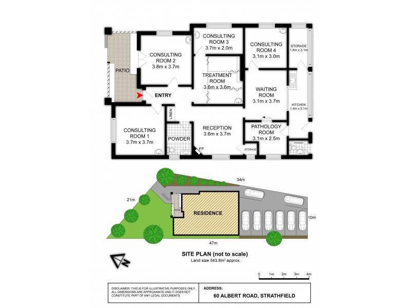 60 ALBERT ROAD, Strathfield NSW 2135 Floorplan
