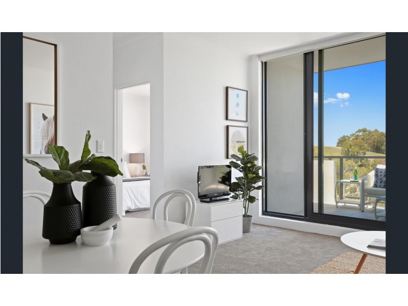 559/221-229 SYDNEY PARK ROAD, Erskineville NSW 2043