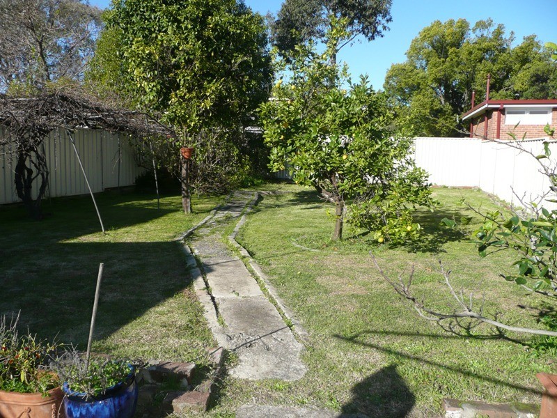 48 HIGH STREET, Strathfield NSW 2135