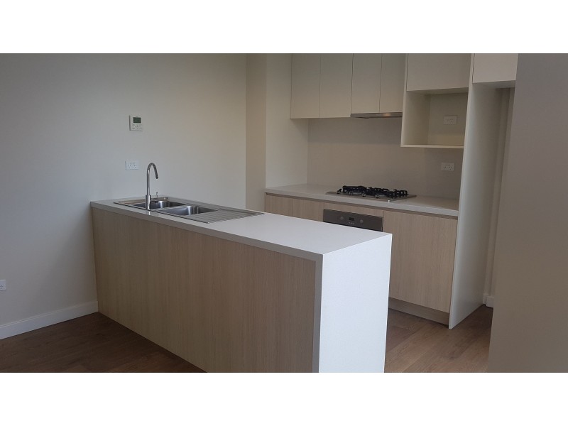 305/29 FOREST GROVE, Epping NSW 2121