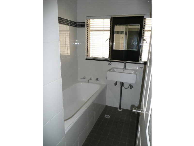 117 NEWTON ROAD, Strathfield NSW 2135