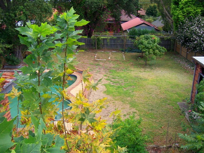 39 COTSWOLD ROAD, Strathfield NSW 2135