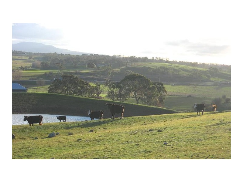 Lucknow NSW 2800