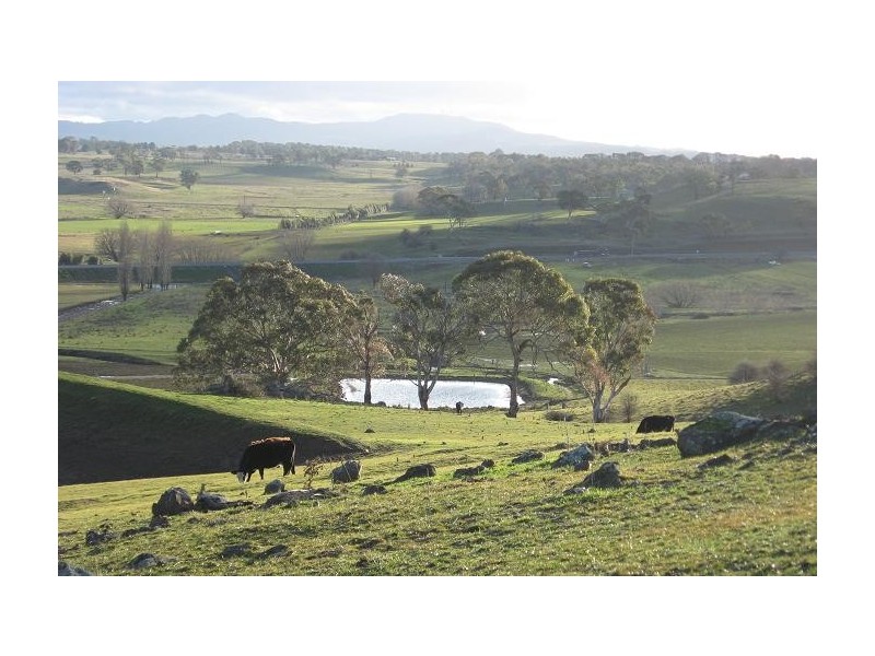 Lucknow NSW 2800