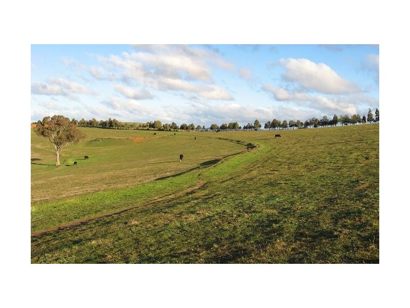 Lucknow NSW 2800