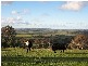 Lucknow NSW 2800