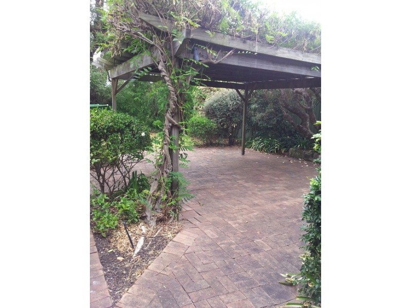 6 WILLEE STREET, Strathfield NSW 2135