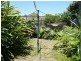 32 THOMAS STREET, Ashfield NSW 2131