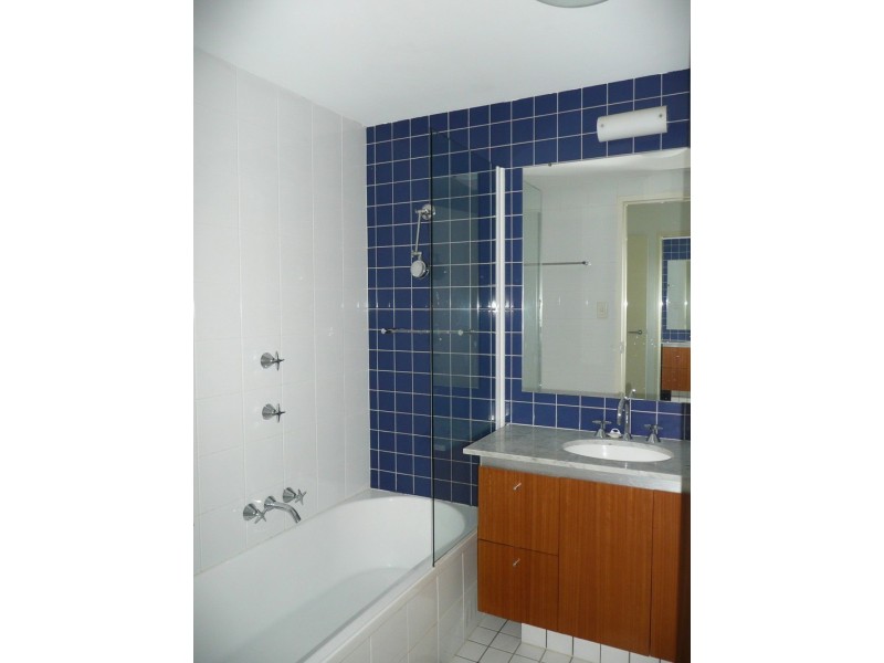 12/11 BLAXLAND AVENUE, Newington NSW 2127