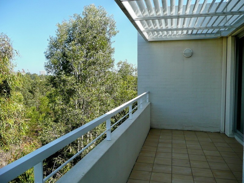 12/11 BLAXLAND AVENUE, Newington NSW 2127