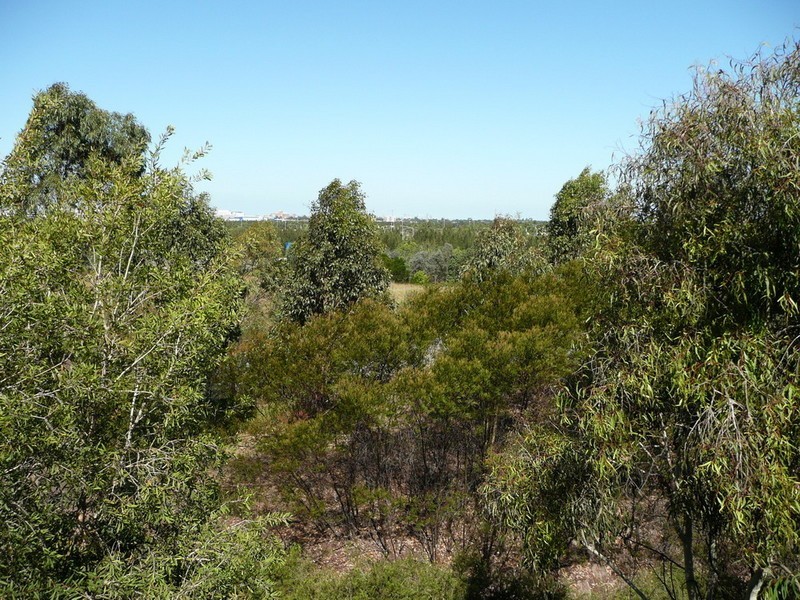 12/11 BLAXLAND AVENUE, Newington NSW 2127