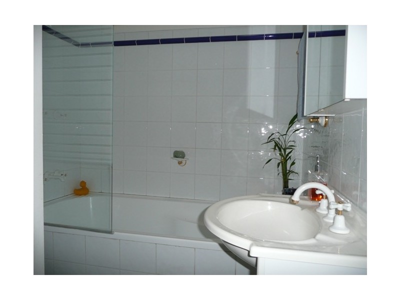 3 BAREENA STREET, Strathfield NSW 2135