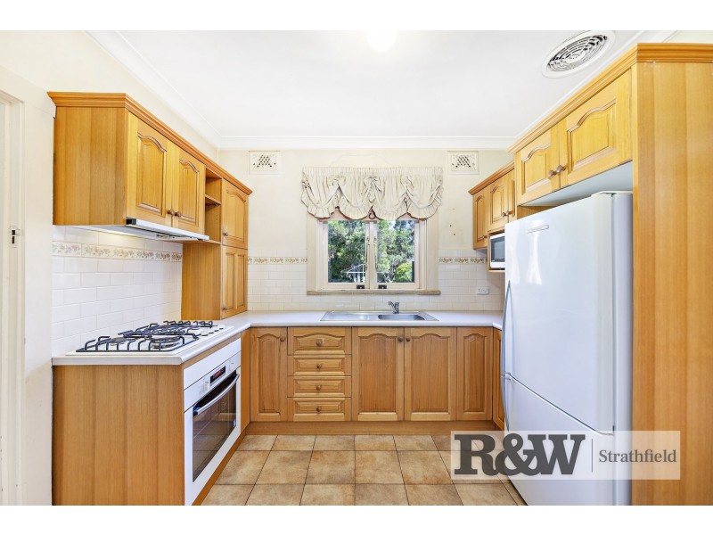 18 Crane Avenue, Haberfield NSW 2045