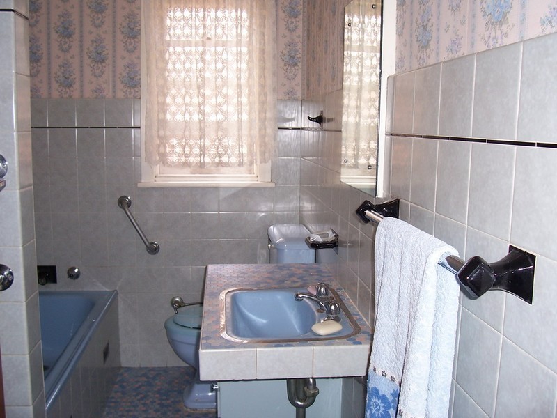 62 ANGLO ROAD, Campsie NSW 2194