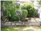 10 KILLOOLA STREET, Concord West NSW 2138