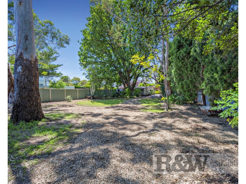 109 WALLIS AVENUE, Strathfield NSW 2135