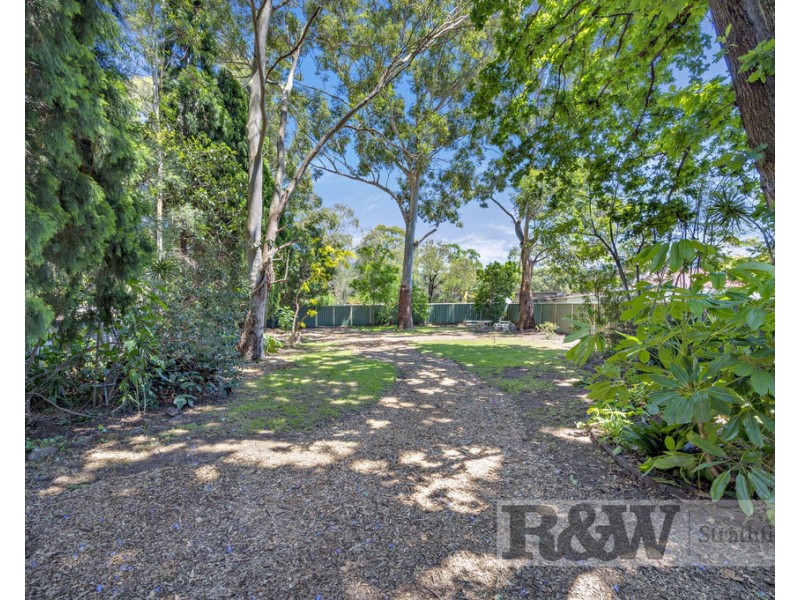 109 WALLIS AVENUE, Strathfield NSW 2135