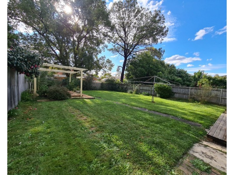 49 ARTHUR STREET, Strathfield NSW 2135