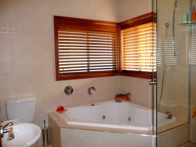 29 SYLVANUS STREET, Greenacre NSW 2190