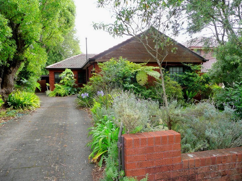 11 TORRINGTON ROAD, Strathfield NSW 2135