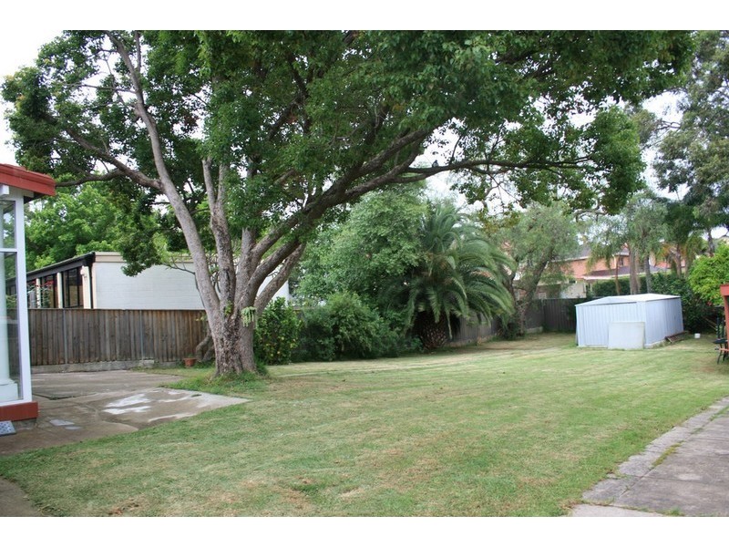 117 HOMEBUSH ROAD, Strathfield NSW 2135